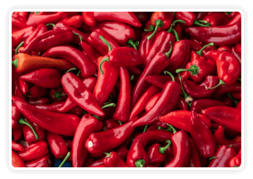 Andalusian Red Pepper